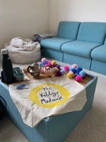 Antenatal 1 to 1 sessions with The Village Midwife - in your home