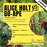 Go Ape Challenge for Adults and over 10yr - Farnham
