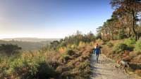 National Trust - Hindhead Commons and the Devil's Punch Bowl
